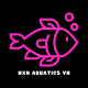 NXN AQUATICS VN